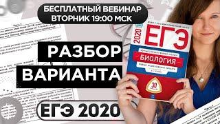 РАЗБОР ВАРИАНТА ЕГЭ ПО БИОЛОГИИ 2020