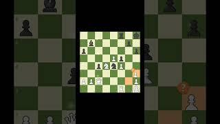 Alexander Alekhine Brillancy #chess #chesscom #gothamchess