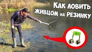 РЫБАЛКА на ЖИВЦА с РЕЗИНКОЙ или КАК СОБРАТЬ РЕЗИНКУ для ЛОВЛИ ХИЩНИКА