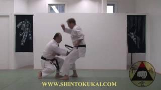 Okinawa Shorin-ryu Karate: Parent Style of Shotokan (clip 3)