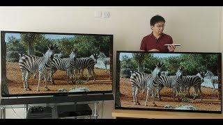 Panasonic FZ952 vs Sony AF9 (A9F) 2018 OLED TV Comparison
