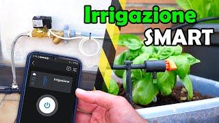 Water your Plants with a Smartphone APP? It's possible, with a Shelly relay!