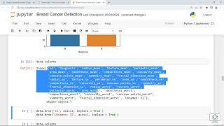 Breast Cancer Detection Models Machine Learning | Eng.Shwel