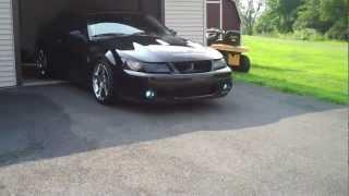 2003 Mustang Cobra Borla Ported Eaton