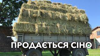 Тюкую сіно на продаж, перший укіс 2021р.