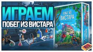 Играем в настольную игру Побег из Вистара