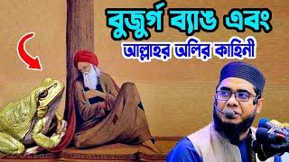 বুজুর্গ ব্যাঙ ও আল্লাহর অলির কাহিনী shahidur rahman mahmudabadi new bangla waz মাহমুদাবাদী ওয়াজ২০২৪