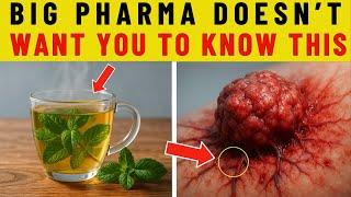 The #1 Herbal Tea That Actually Kills CANCER — Why Is This Being Hidden?