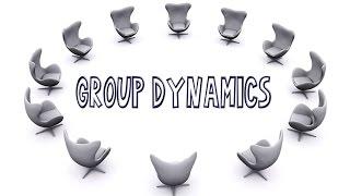 Understanding Group Dynamics