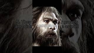 The main differences between us and Neanderthals… #prehistoric #earlyhumans #iceage #neanderthal