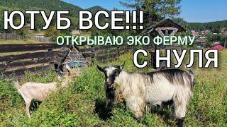 ОТКРЫВАЮ ЭКО ФЕРМУ АФОНиЯ с НУЛЯ | БИЗНЕС В ДЕРЕВНЕ