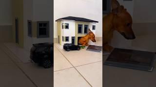 Mini House And Mini Car #minix #diy #youtubeshorts #shorts #trending #animals