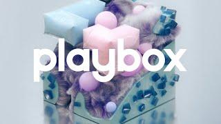 Exploring @Native Instruments Playbox! Such a clutch & fun plugin. !samplepack #playbox