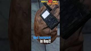 The BEST backpack in DayZ