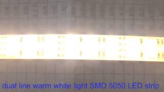 120 LEDs per meter dual line warm white light 5050 LED strip - kutop.com