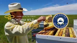 Montana Wild Crafted Honey | Natural Raw Honey Distributor Treasure State Honey with Jim Savoy