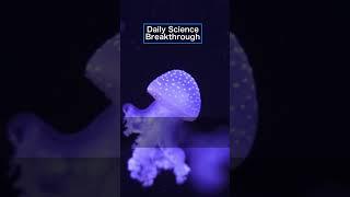 Learning Without a Brain! Jellyfish Genius 🪼 #science #neuroscience  #brain #jellyfish #discovery