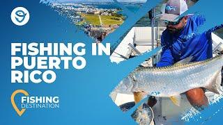 Fishing in Puerto Rico: All You Need to Know | FishingBooker