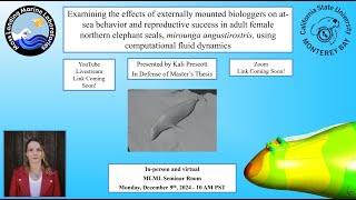 Kali Prescott- Examining the effects of externally mounted biologgers on at-sea behavior and ...