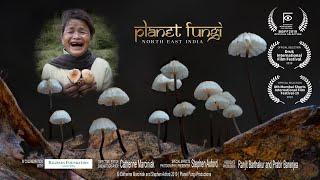 STREAMING NOW "Planet Fungi - north east India"