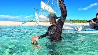 3 hari berpetualang berburu di alam bebas di pulau tengah laut dan menanam mangrub