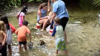 Young Naturalist Summer Camp '15