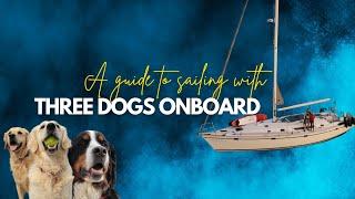 DOGGO LIFE! Sailing with dogs simplified! What? Where? How? & Why? | Including Q&A | [Ep. 35]