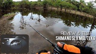 REVIEW & TEST PIRANTI BAITCASTING SHIMANO SLX MGL 71 XG BUAT MANCING IKAN GABUS