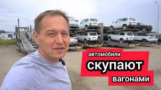 «Берут лучше китайцев». «АвтоВАЗ» вагонами отгружает дилерам новые «Нивы»