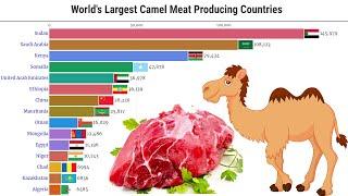 Data Is Beautiful - World's Largest Camel Meat Producing Countries (1961 - 2025)