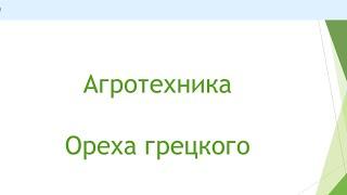 22 Ноября ЮгАгро 2024 Агротехника ореха грецкого. 5 ежегодная конференция ореховодов.