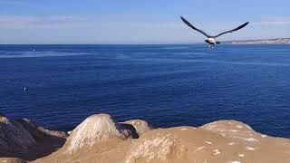 4K Pacific Ocean - California Coast, Concentration, Meditation, Relax, Calming Video Nov 12/20