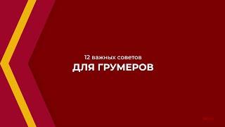 Онлайн курс обучения «Груминг (Грумер)» - 12 важных советов для грумеров