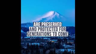 Thrive's vision