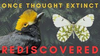 5 "Extinct" Species that were Rediscovered