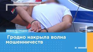 Пять случаев за два дня. Гродно накрыла волна мошенничеств.