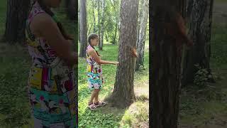 Продвинет ли это видео - Ютюб ?