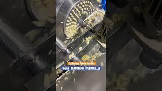 Continuous production line of macaroni pasta vermicelli | 1500 kg pasta automatic production machine
