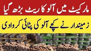 Allu allo potato rates update 2025