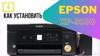 Как установить программное обеспечение Epson XP-3100 | Видеоинструкция