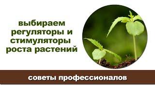 Лучшие стимуляторы роста растений / Для чего они предназначены и в каких случаях применяются