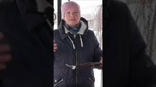 защита черенков от МЫШЕЙ