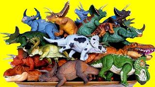 Lots of Horned Dinosaurs & T-rex Triceratops Pentaceratops Sinoceratops, Jurassic world Dinosaur