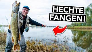 Die 8 besten Tipps zum Hechtangeln  So fängst du deinen ersten Hecht!