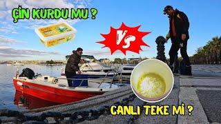 BU YEM VARSA BALIK BOL | SİLİVRİ BALIK AVI | CANLI TEKE Mİ? ÇİN KURDU MU? #fishing #balikavi