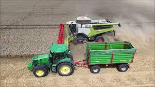 Claas Lexion 760, 770, 8700 John Deere X9 1000 Raps und Weizen dreschen im Oderbruch 2024