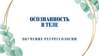 ТЕЛЕСНАЯ ОСОЗНАННОСТЬ. Получаем доступ к мудрости тела