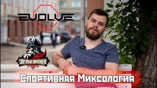 Тренировка у Ильфата Амирова, Evolve Gym