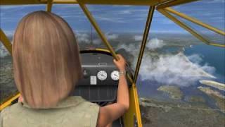 Piper Cub Fun