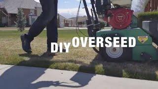 How to Overseed with a Split / Splice Seeder.  Billy Goat Model: OS900SPH lawn overseeder